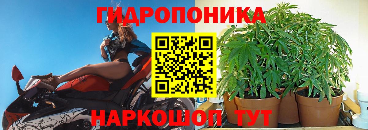 Северск  Канабис гибрид  Вход с VPN  Бошки Шишки планчик  Каннабис SATIVA & INDICA  Каннабис ГИДРОПОН 